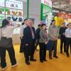废除“新工艺法白酒”标准对中国酒类行业的多维度影响研究